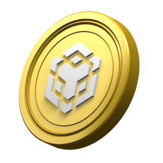 Moeda BNB ornamental na seção de informações da plataforma
